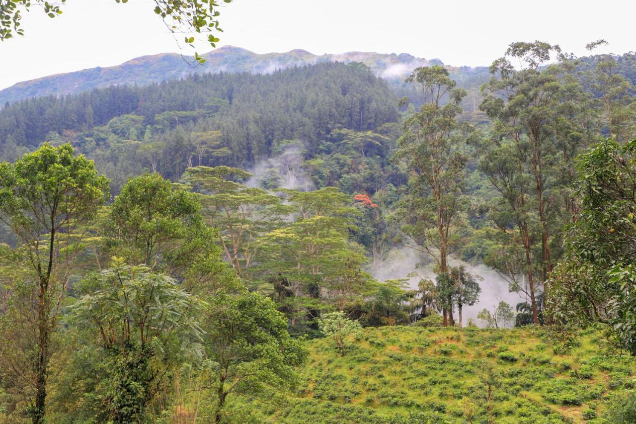 Flaming Tree Villa Kiriwan Eliya